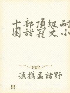 十部顶级耐看校园甜宠文小说封面