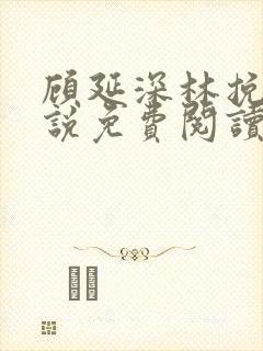 顾延深林挽音小说免费阅读最新章节