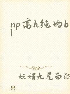 np高h纯肉bl