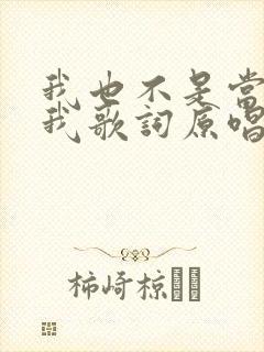 我也不是当年的我歌词原唱封面