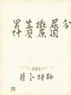 男生撒尿分叉是什么原因