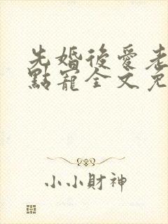 先婚后爱老公轻点宠全文免费阅读