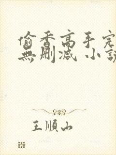 偷香高手完整版无删减 小说