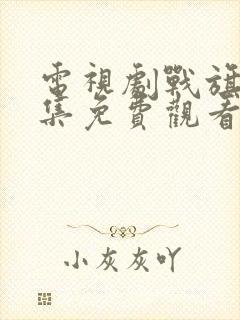 电视剧战旗43集免费观看