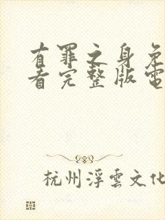 有罪之身免费观看完整版电视剧高清