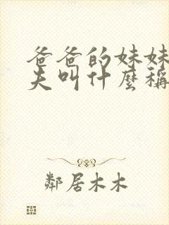 爸爸的妹妹的丈夫叫什么称呼