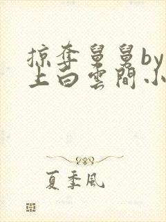 掠夺舅舅by远上白云间小说免费阅读笔趣阁封面