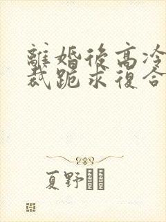 离婚后高冷女总裁跪求复合