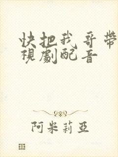快把我哥带走电视剧配音