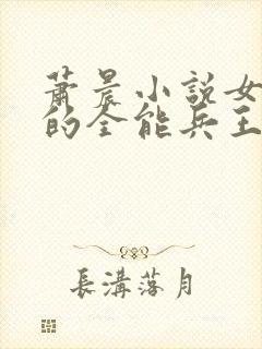 萧晨小说女总裁的全能兵王