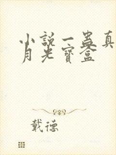 小说一蛊真人之月光宝盒