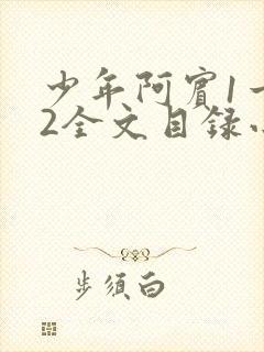 少年阿宾1一72全文目录小说