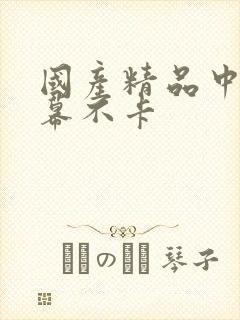 国产精品中文字幕不卡