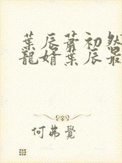 叶辰萧初然上门龙婿叶辰最新