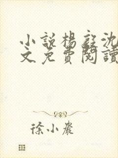 小说杨毅沈雪全文免费阅读封面