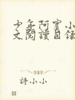 少年阿宾小说全文阅读目录封面