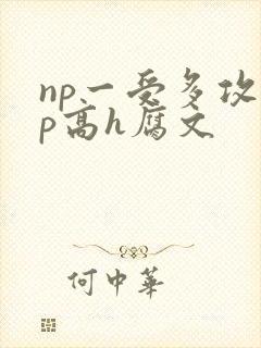 np一受多攻np高h腐文