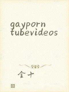 gayporntubevideos封面