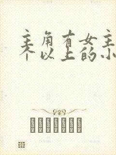 主角有女主20个以上的小说