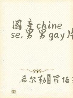 国产chinese,男男gay片田涛封面