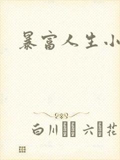 暴富人生小说封面