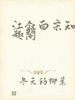 江叙白宋知意笔趣阁封面