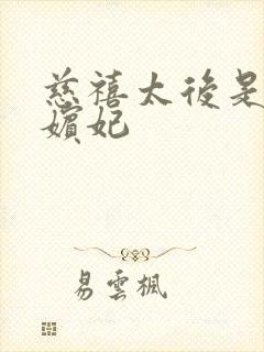 慈禧太后是谁的嫔妃