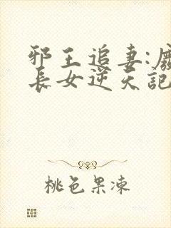 邪王追妻:废柴长女逆天记