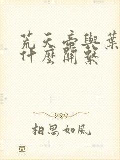 荒天帝与叶天帝什么关系