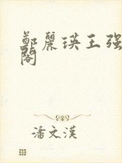 郑丽瑛王强笔趣阁封面