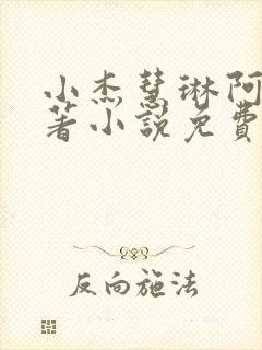 小杰慧琳阿姨原著小说免费阅读