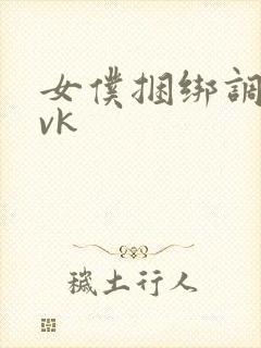 女仆捆绑调教丨vk