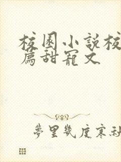 校园小说校霸推荐甜宠文