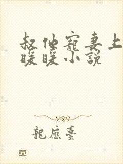 叔他宠妻上瘾古暖暖小说