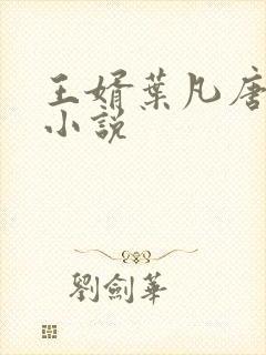 王婿叶凡唐若雪小说