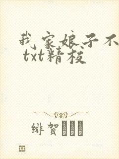 我家娘子不对劲 txt精校封面