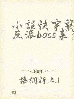 小说快穿系统之反派boss来袭全文