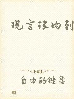 现言很肉到处做