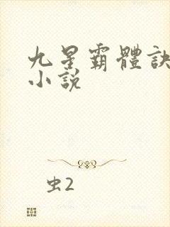 九星霸体诀龙尘小说