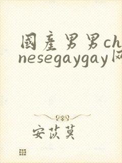 国产男男chinesegaygay网站