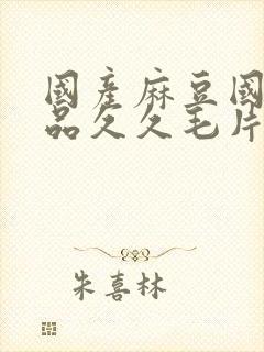 国产麻豆国精精品久久毛片封面