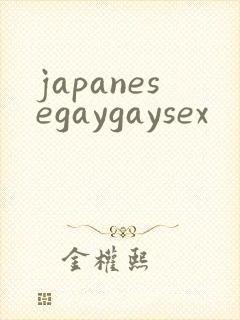 japanesegaygaysex封面