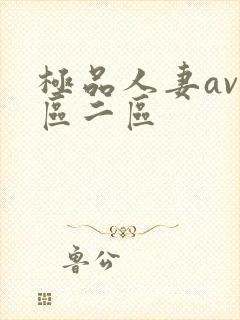 极品人妻av一区二区