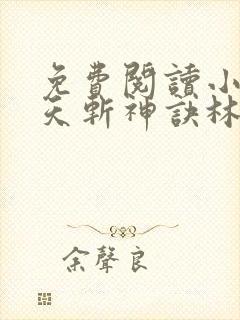 免费阅读小说九天斩神诀林辰