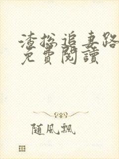 渣总追妻路漫漫免费阅读