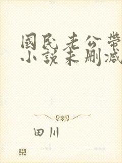 国民老公带回家小说未删减封面