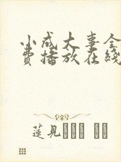 小成大事全集免费播放在线观看封面