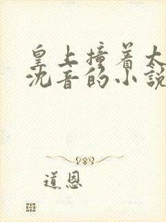 皇上撞着太子妃沈音的小说叫什么