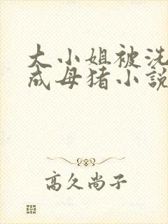 大小姐被洗脑变成母猪小说免费阅读