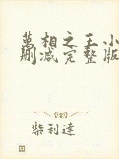 万相之王小说未删减完整版